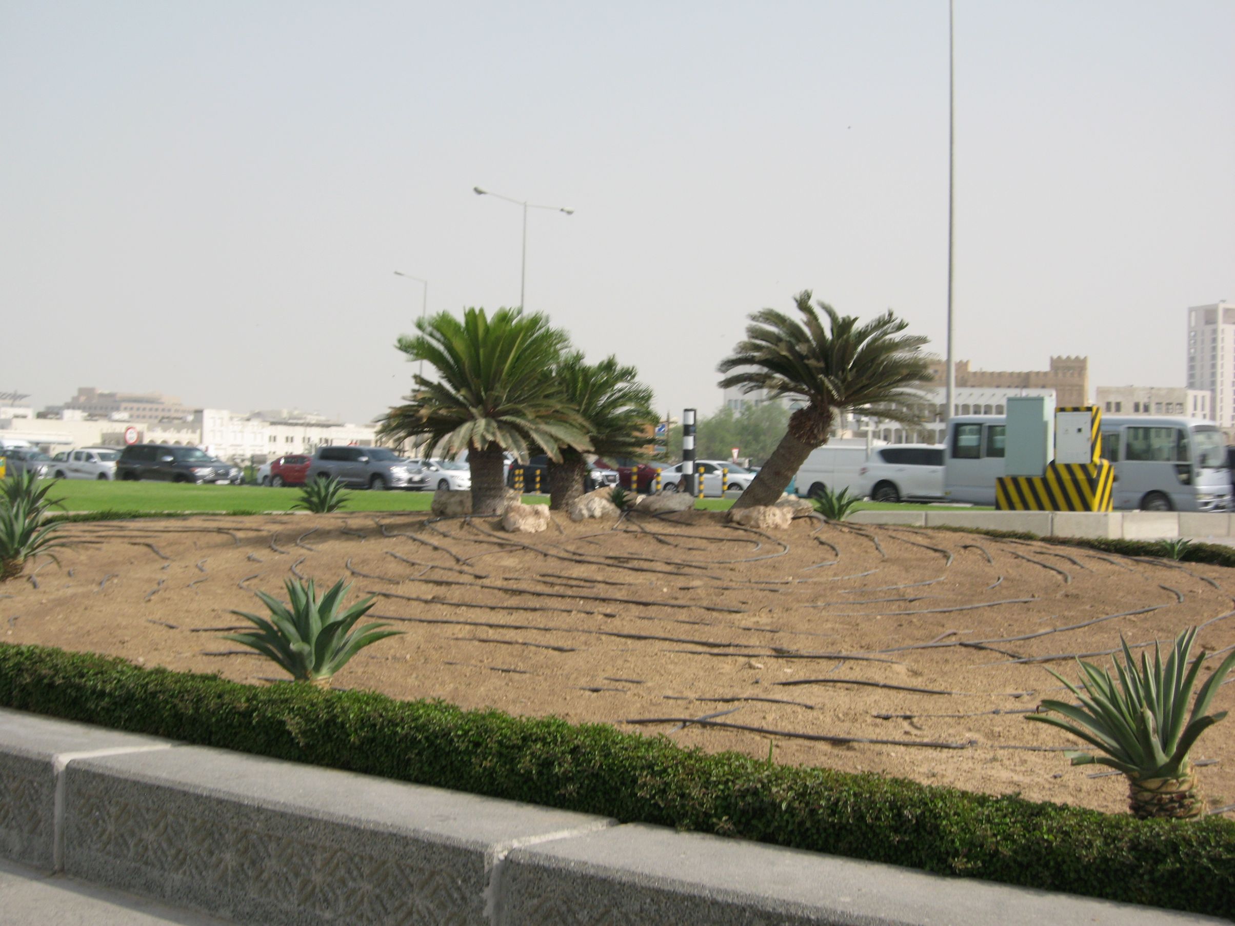 Nawadnianie w praktyce, Ad-Dauha (Doha), Katar; fot. K. Górak-Sosnowska